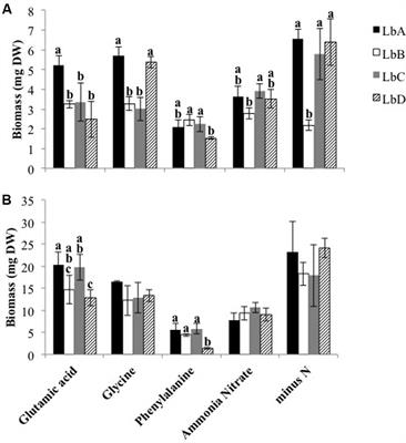 Strain Identity of the <mark class="highlighted">Ectomycorrhizal Fungus</mark> Laccaria bicolor Is More Important than Richness in Regulating Plant and Fungal Performance under Nutrient Rich Conditions